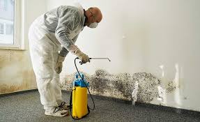 Best Mold Prevention Services  in Wintersville, OH